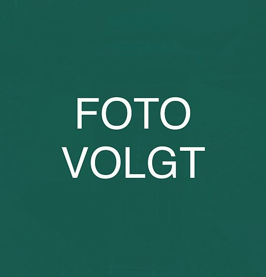 foto-volgt-1729778360.jpg